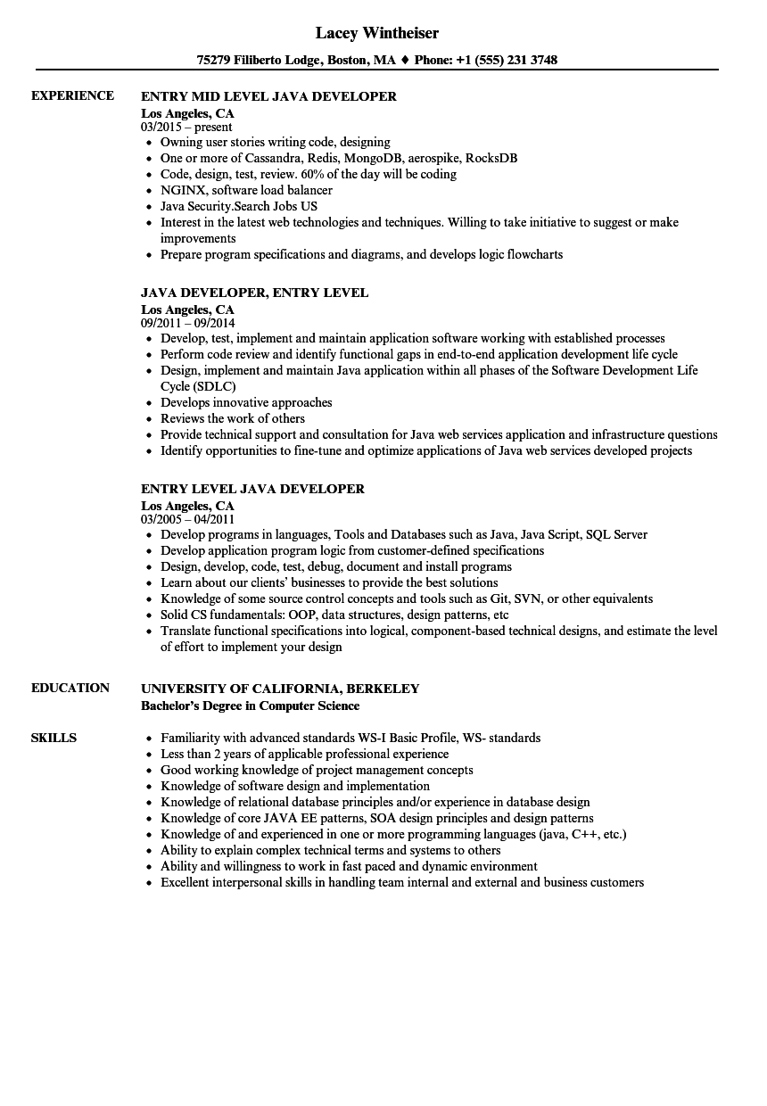 Entry Level Developer Job Openings