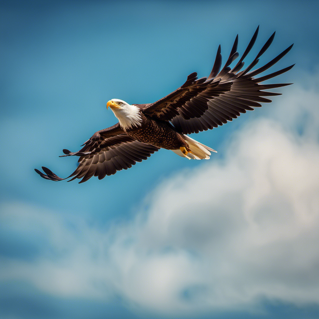 5 Ways to Soar
